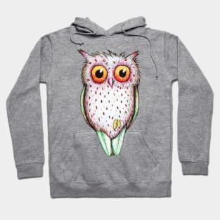 Cute colored owl Hoodie